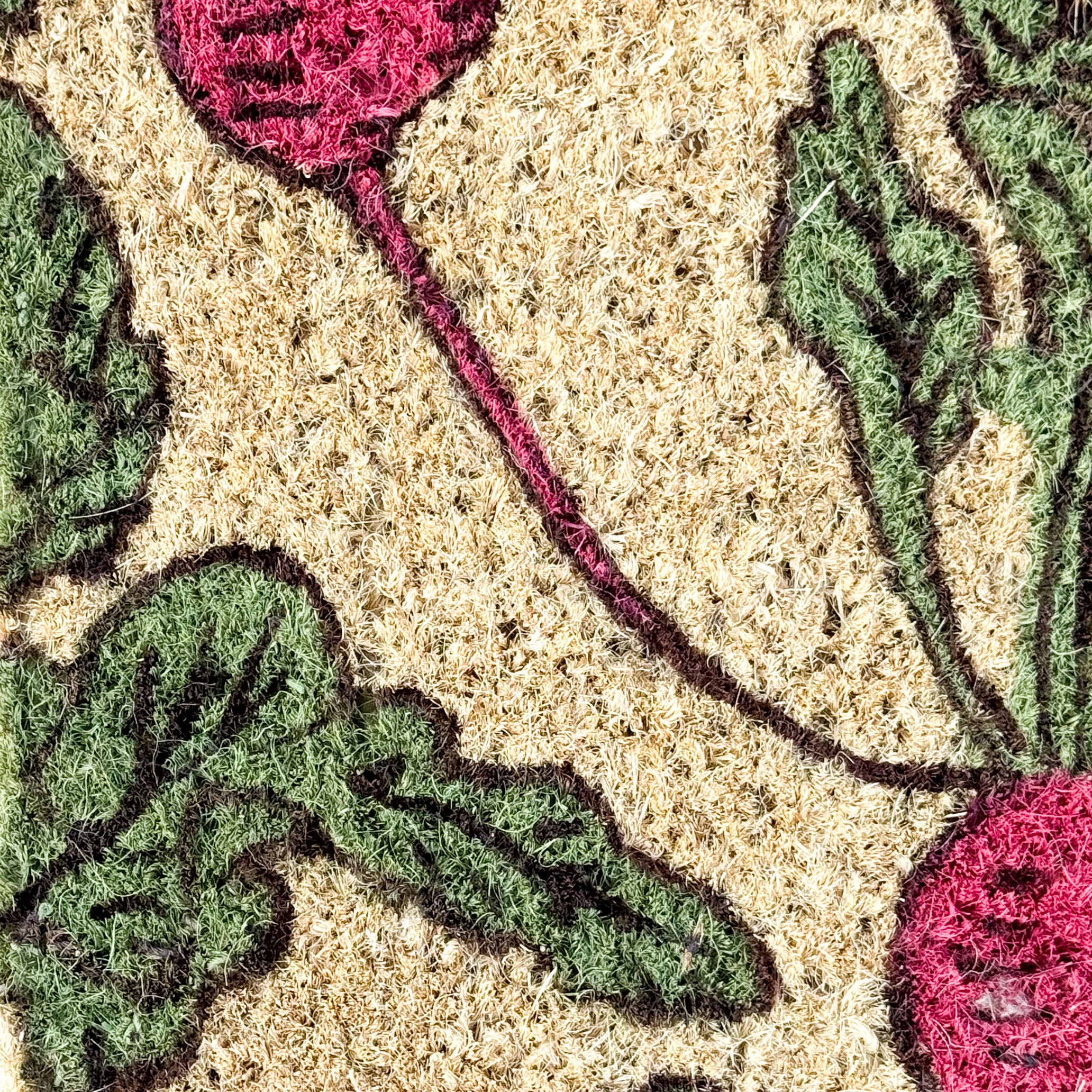 Beet It Coir Doormat