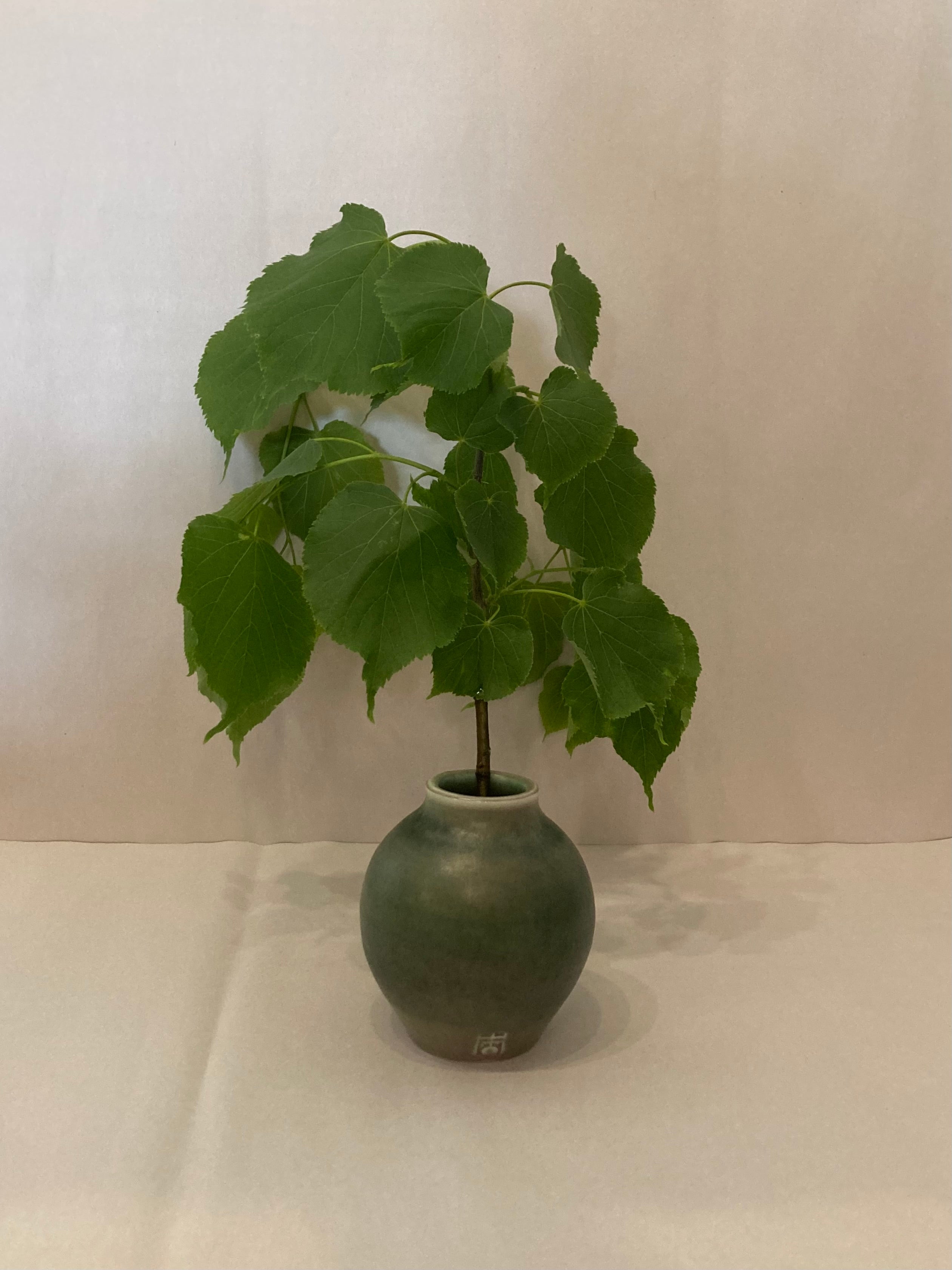 moss green Roycroft vase