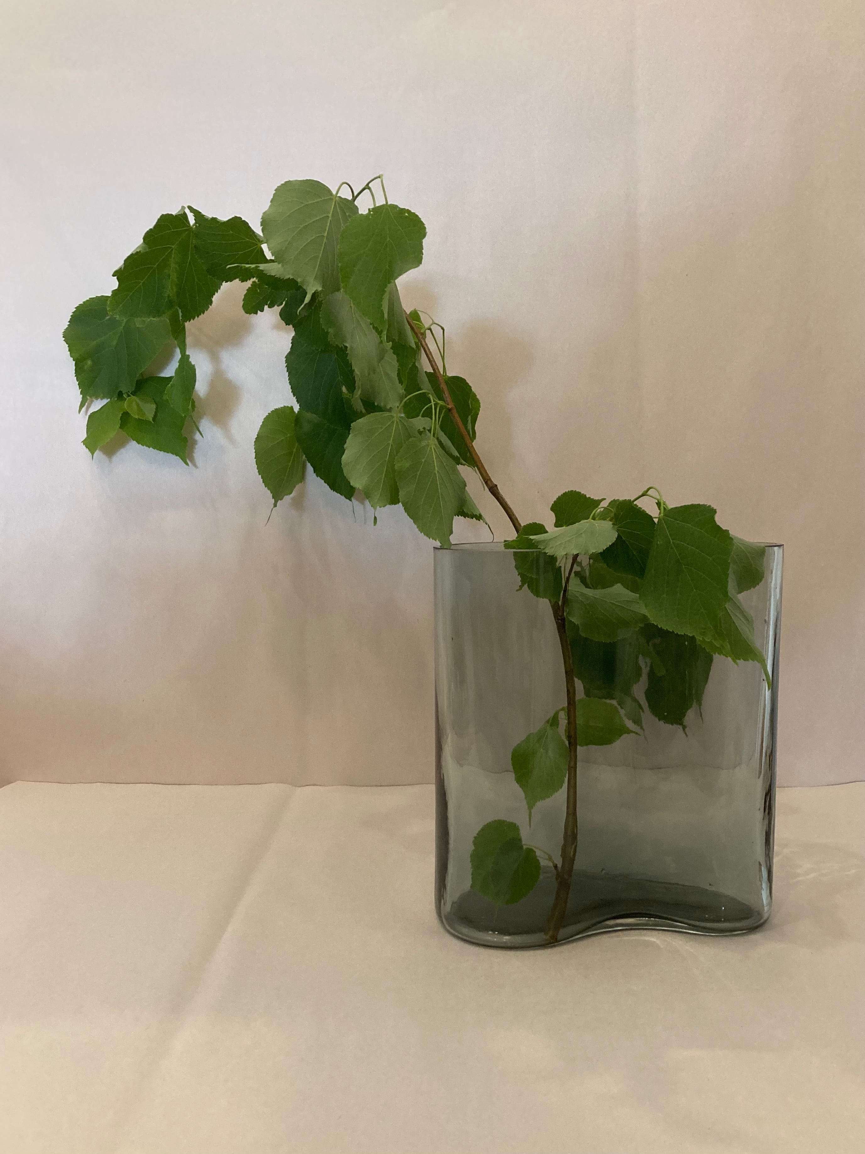 Danish wave vase by Gabriel Tan