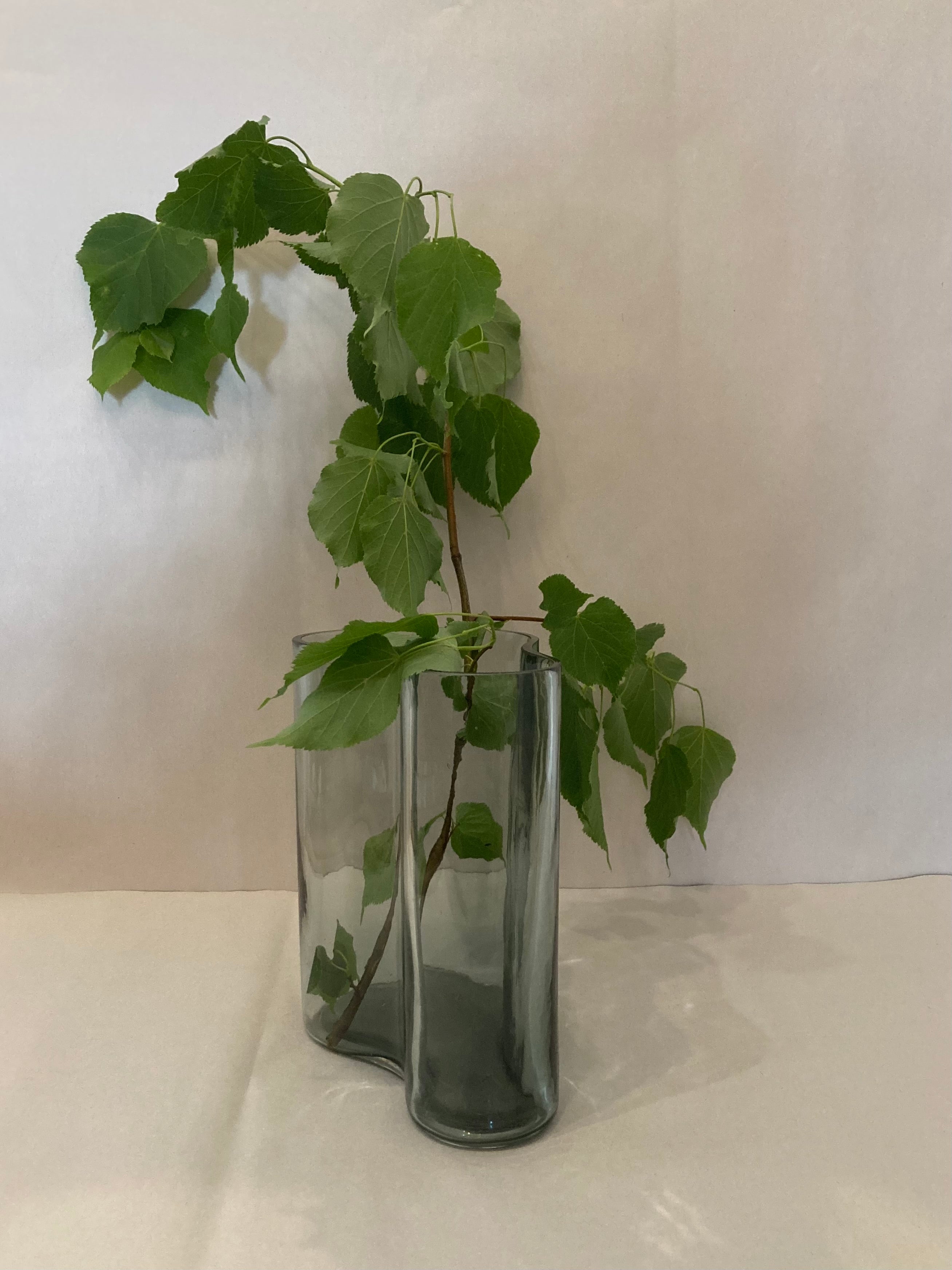 Danish wave vase by Gabriel Tan
