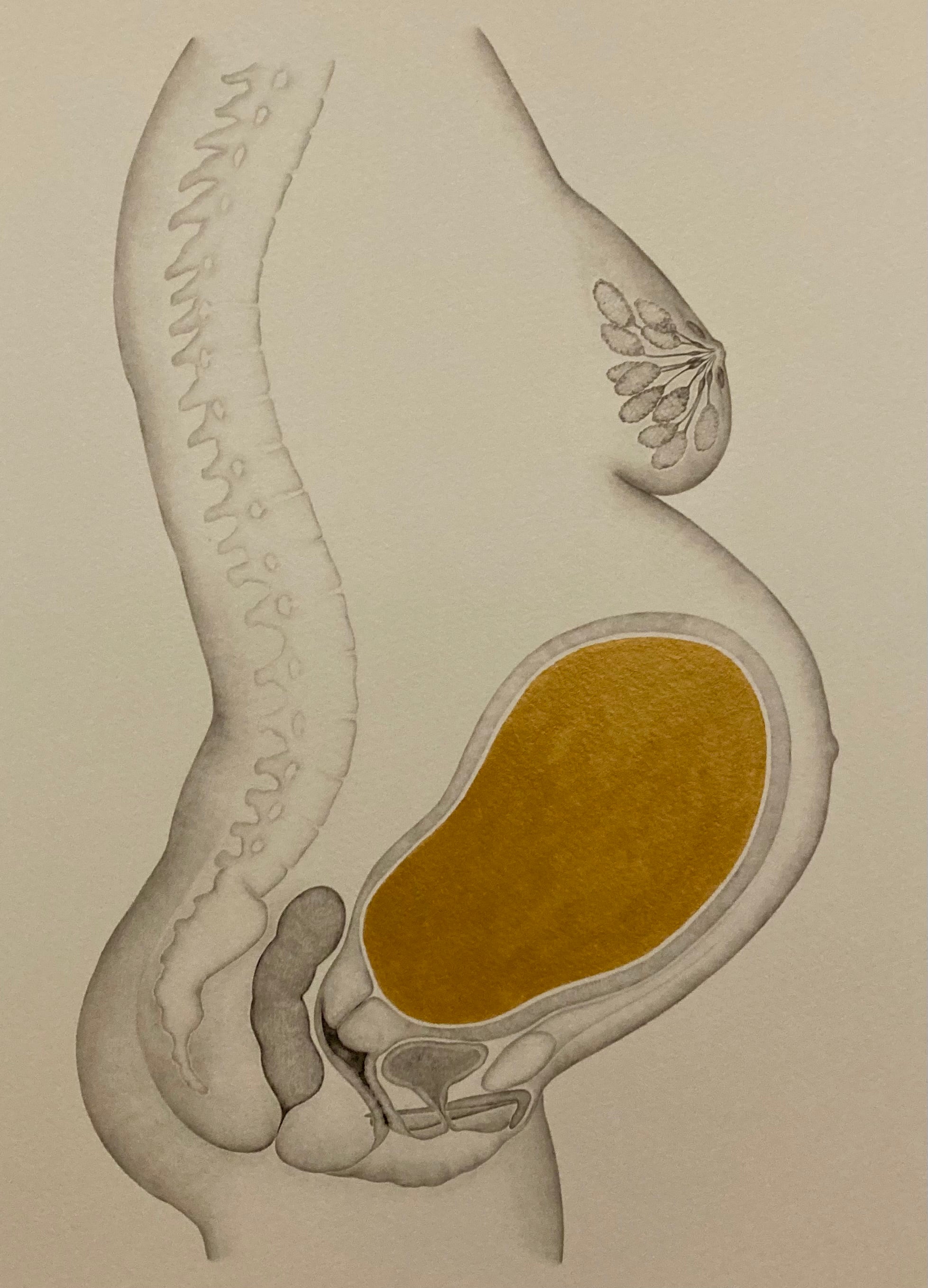 "Mel" pregnancy print