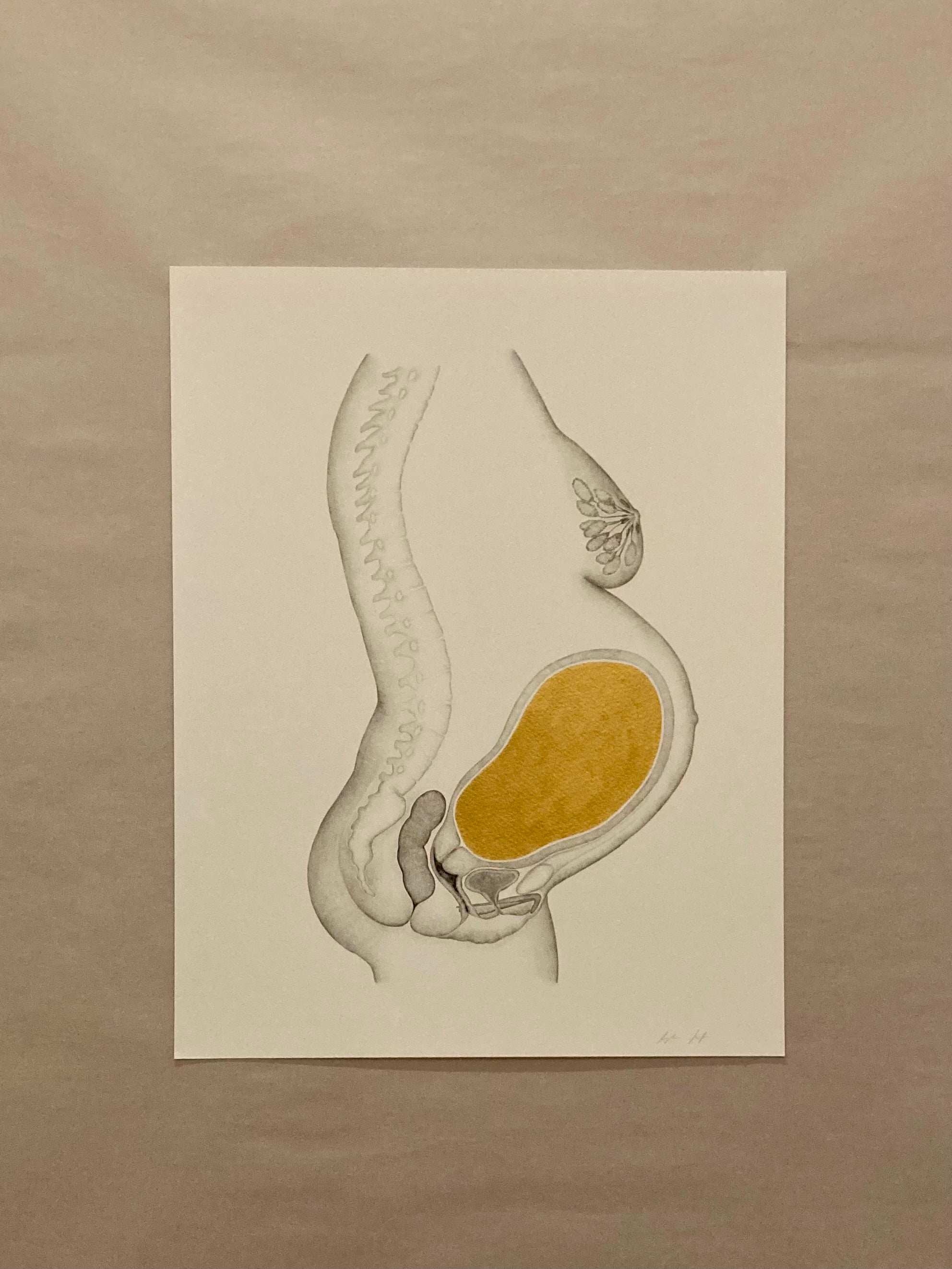 "Mel" pregnancy print