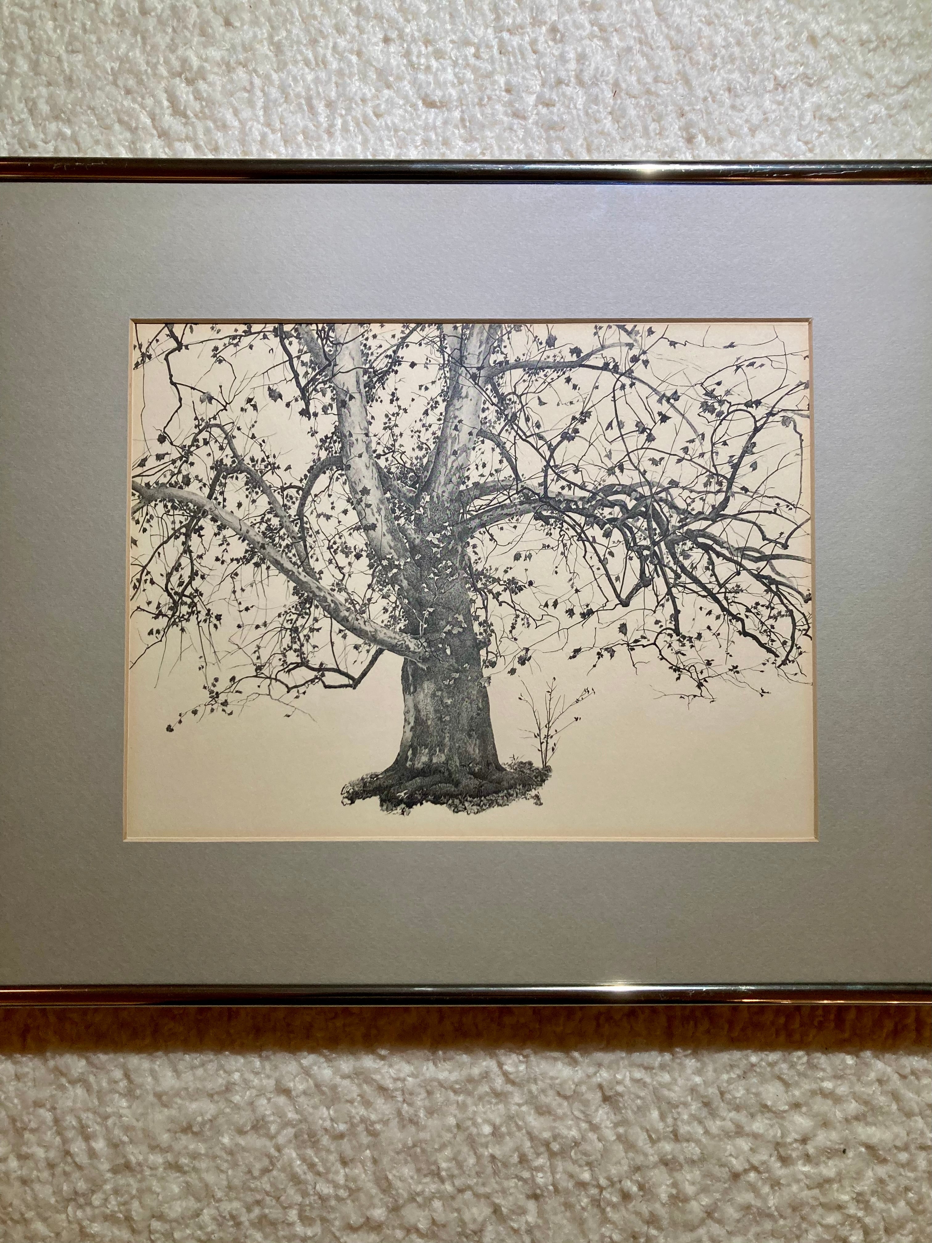 Wyeth Print - Four Seasons, "New Leaves"